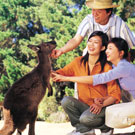 Chinese tourists with Kangaroo