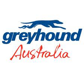 greyhound logo